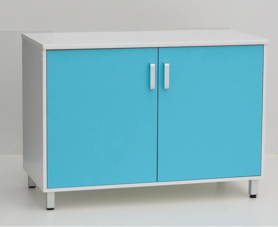 Stationary Laboratory Storage Cabinet PGL LK T2, T6, T7, T9