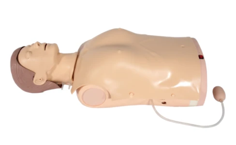 دمية متقدمة لتدريب الإنعاش القلبي الرئوي مع مؤشرات صوتية وضوئية، CPR1950P