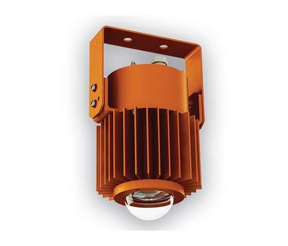 Explosion-Proof LED Industrial Lights for Outdoor and General Lighting - DSP34-30 Leda EX