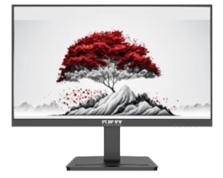 LCD Monitor 23.8-inch RDW2401B EMTsT.467846.006-05
