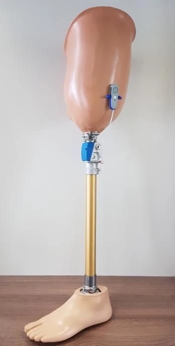 طرف صناعي للورك للعلاج والتدريب PN6-LT.1