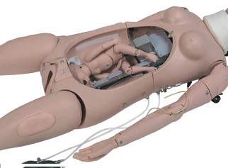 دمية محاكاة الولادة مع التحكم في معدل ضربات قلب الجنين، GP6642/F55