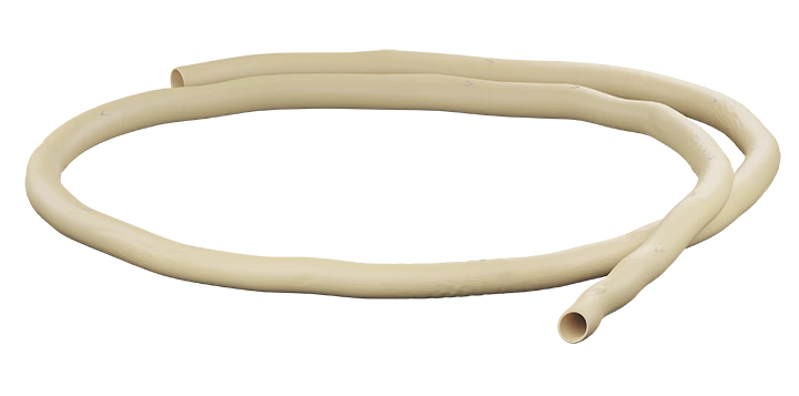 Preserved Xenograft Vascular Prosthesis "KemAngioprosthesis" TU 9444-001-57628698-200