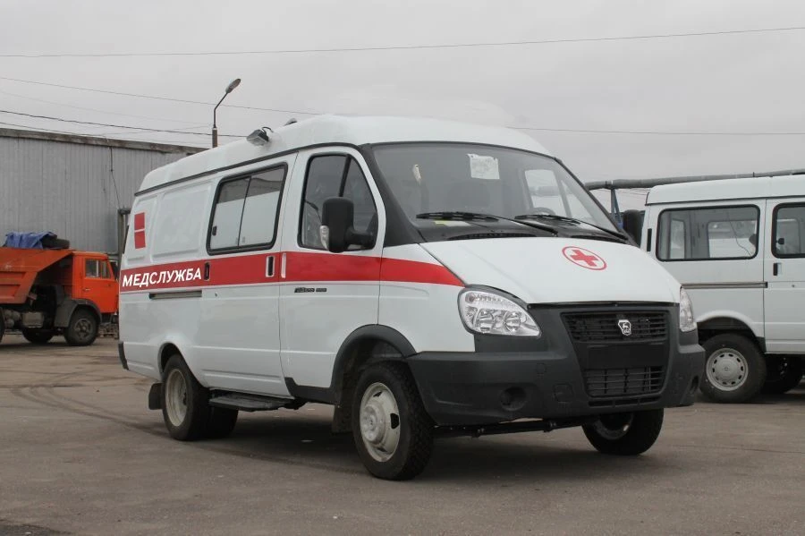 Transport Vehicles for Passenger Transportation with Gasoline Engine, Type 38406A, Model 384068, 384069