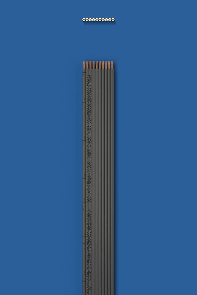 Flat Installation Wire with Double Insulation PUVVPG 10x0.50