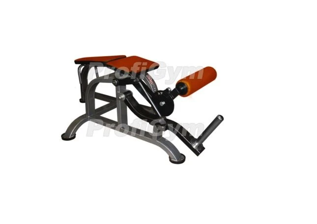 Biceps Curl Machine for Hamstrings TD-0180-D