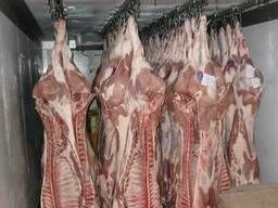 Frozen Category 2 Pork Meat in Carcasses and Half-Carcasses
