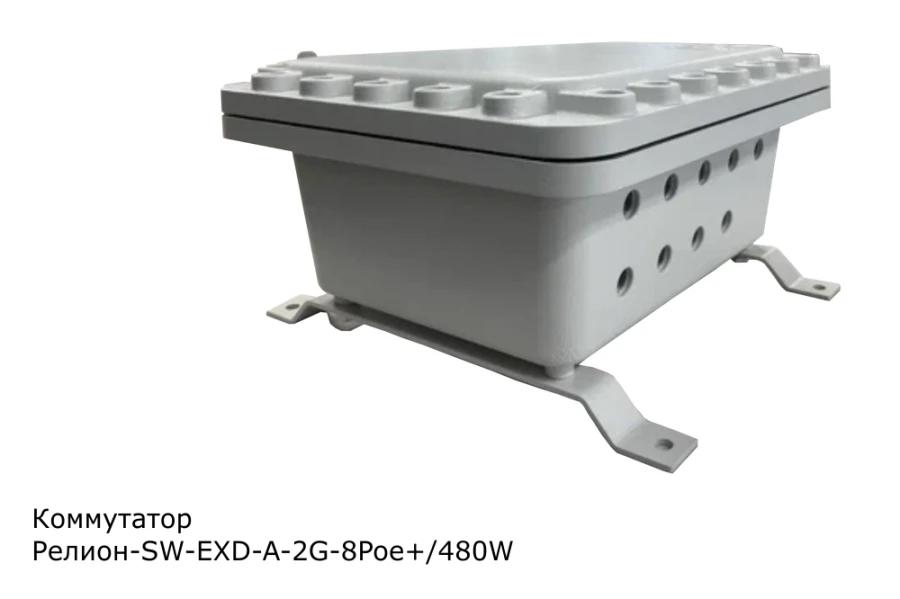 مفتاح مُدار مقاوم للانفجار 8 منافذ POE+ 480 واط - ريلون-SW-EXD-A-2G