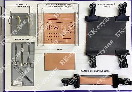 Veterinary Surgical Skills Training Simulator