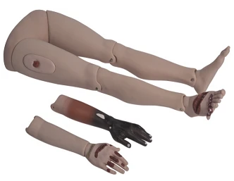 Traumatic Injury Models for Limbs G110-4