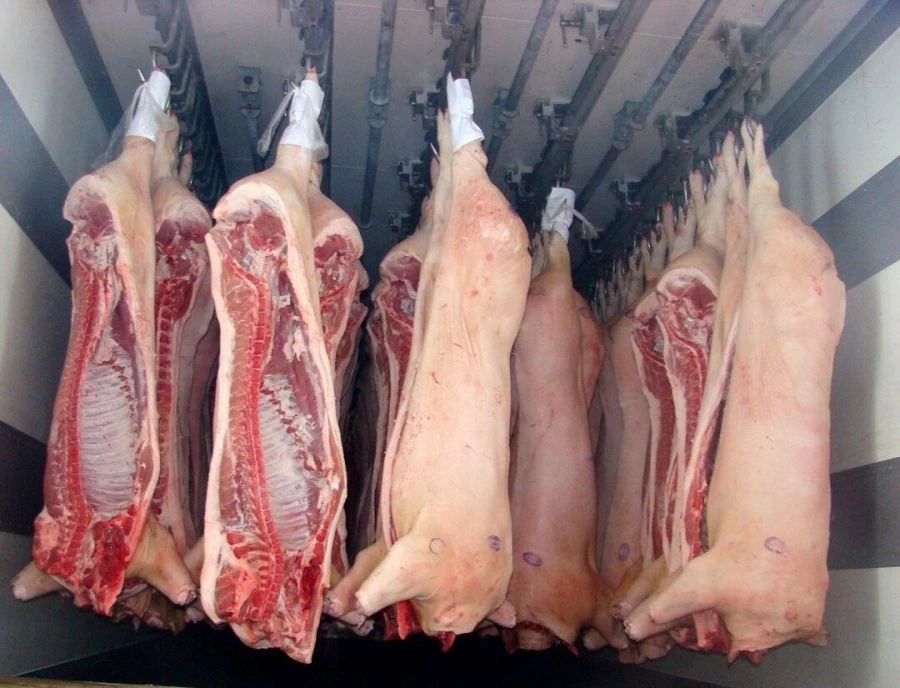 Frozen Category 1 Pork Meat in Carcasses and Half Carcasses