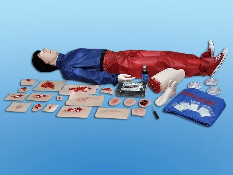 دمى التدريب للمساعدة في حالة الطوارئ CPR و AED، BLS700
