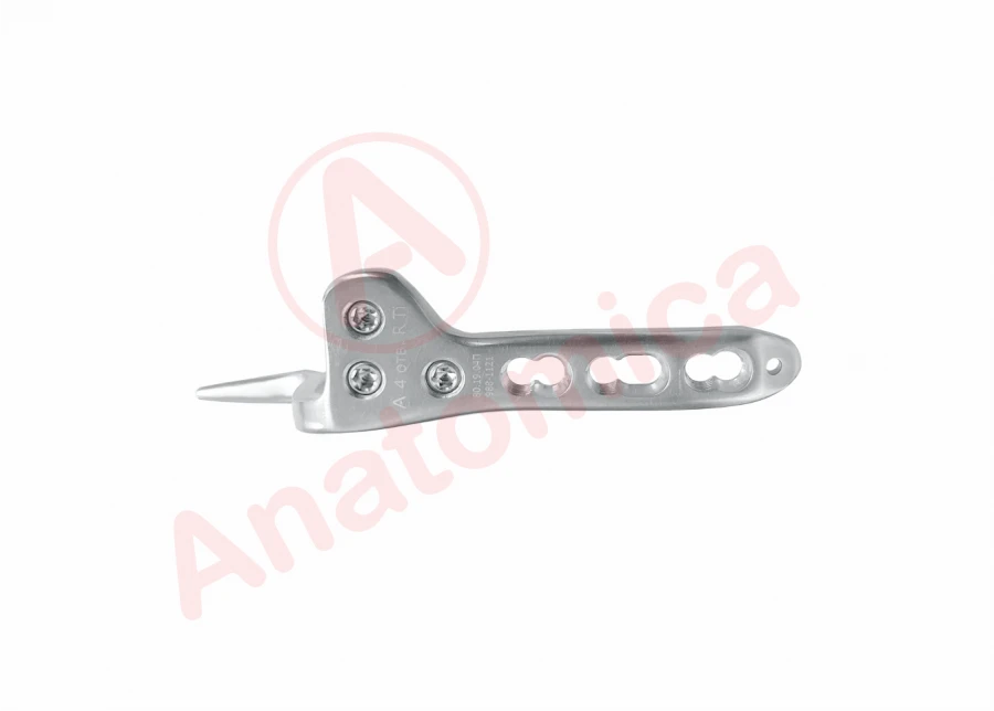 Hook-shaped Plate with Angular Stability