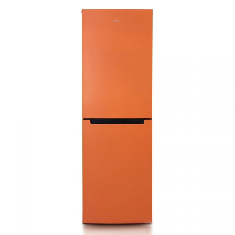 Two-Chamber Refrigerator with Bottom Freezer "Birюsa T840NF