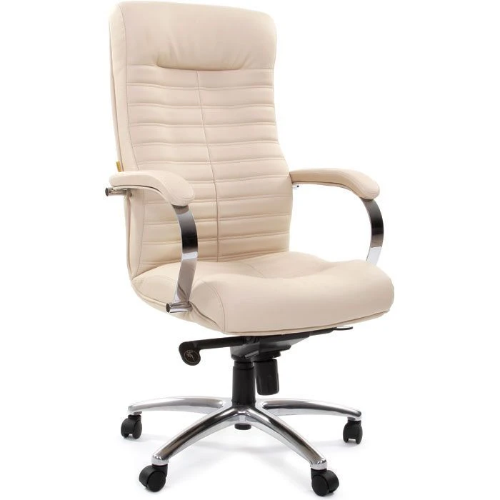 CHAIRMAN 480 Executive Office Chair