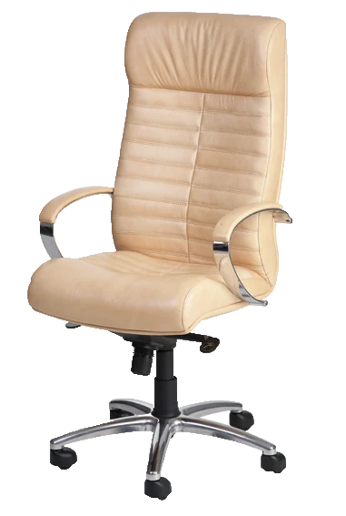 Ergonomic Office Chair KR4 with Gas Lift and Armrests