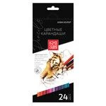 Professional Art Colored Pencils Set "Aqua-Color" IZO-CP24 - 24 Colors
