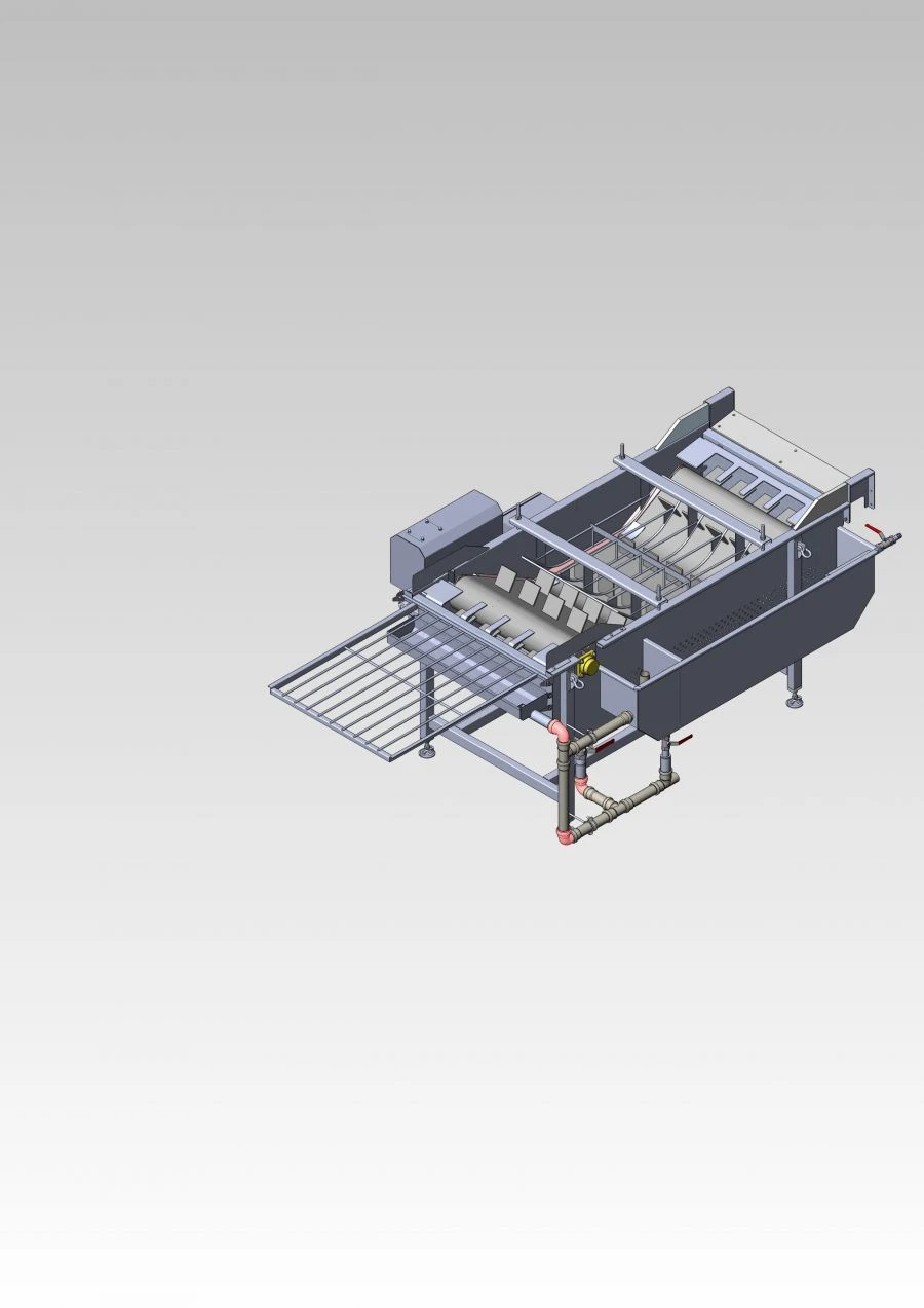 Individual Fish Glazing Machine DALU.MGP/3.00.000