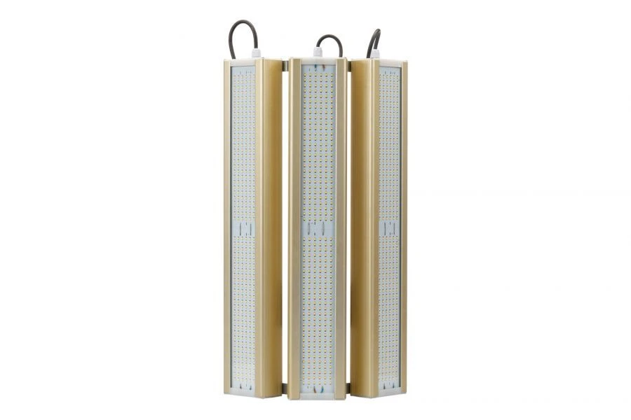 وحدة إضاءة LED جولد، عالمية UM-3، 3000 كيلفن، 372 واط