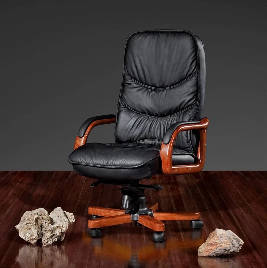 Comfortable Lotrek DB-015 Chair for Home and Office