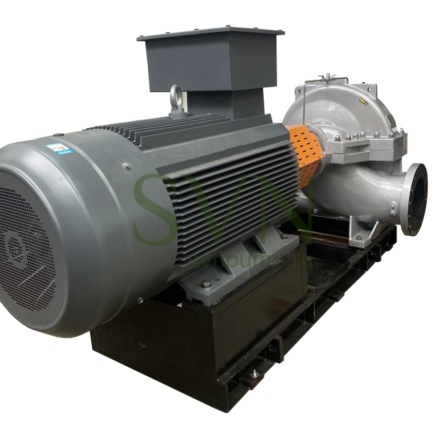 Energy-Efficient Dual-Inlet Pump SVN D