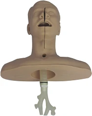 نموذج التدريب على الإ intubation والتنظيف، 60