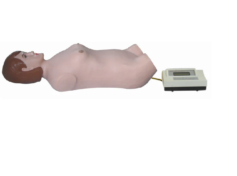 Abdominal Palpation and Auscultation Medical Mannequin, Art. PE6413/FB