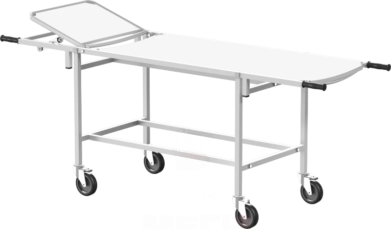 عربة نقل المرضى مع لوحة معدنية قابلة للإزالة، طراز TBsp-01-MSK(401-01M)