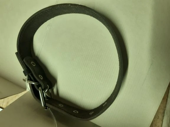Two-layer Natural Leather Dog Collar for Medium Breeds TU 8789-035-08830505-2010