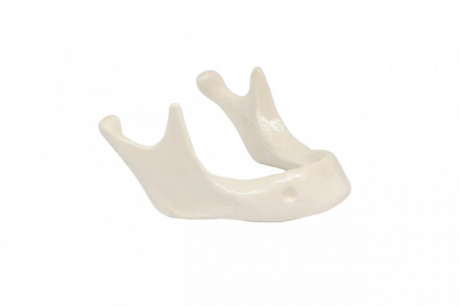 Edentulous Lower Jaw Dental Model for Surgical Training PD-HN BDP