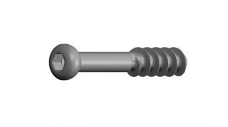 6.5 mm Spongious Screw, 16 mm Thread - 43 Variants