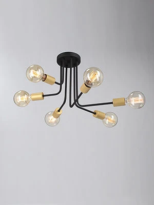 مصباح عام ثابت V4957-1/6PL