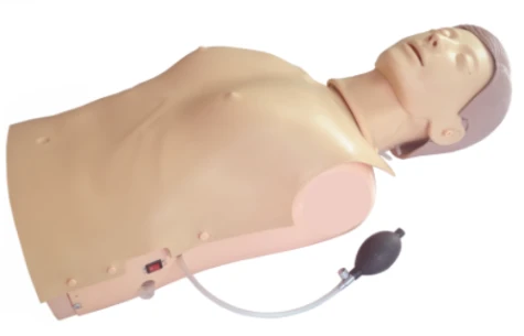 مانكن متقدم لتدريب الإنعاش القلبي الرئوي مع إشارة صوتية - CPR1950S