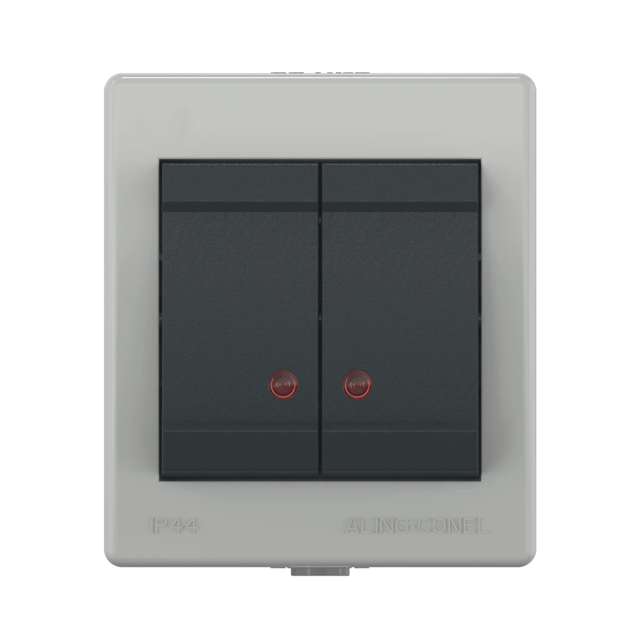 CADUCEUS ALING POWER Dual Switch with Indicator, 10A, 250V, IP44, Gray Anthracite, Art. 2521.1A