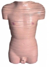 نموذج جسم الرجل مع المقاطع العرضية 30002