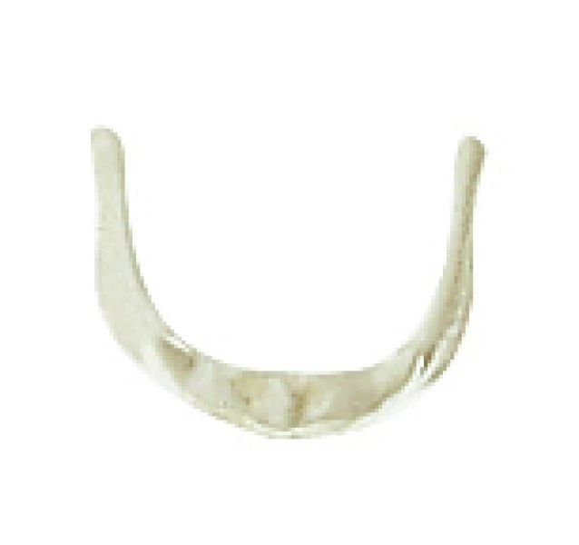 Enlarged Model of the Hyoid Bone for Anatomy Study, 11122