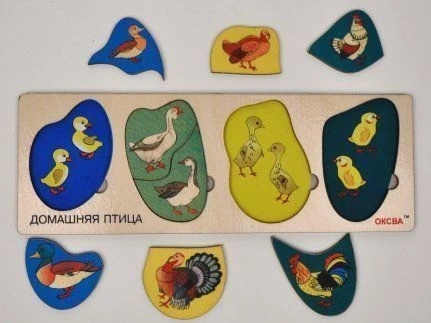 Home Bird Educational Game Board