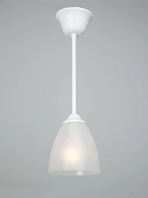 General Purpose Stationary Lamp for Incandescent Bulbs V3950-0/1PL