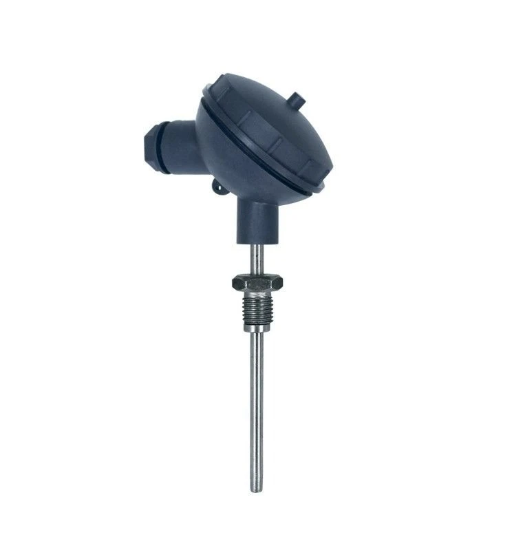 ترمومترات مقاومة البلاتين TSPr-Kl1-2v