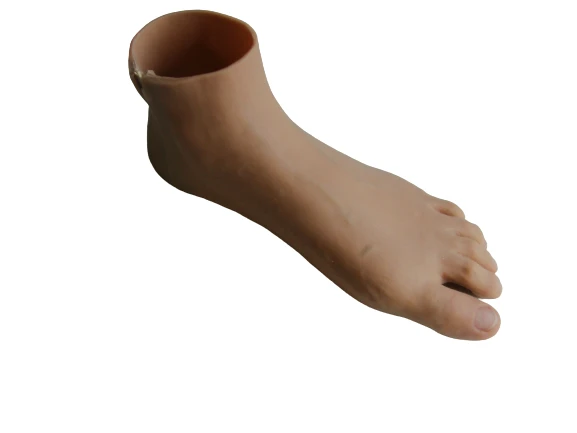 طرف صناعي للقدم مركب PN0-OR