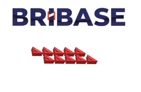 مجموعة 10 من سدادات Mini Grip BriBase BB.VS.100.60.010