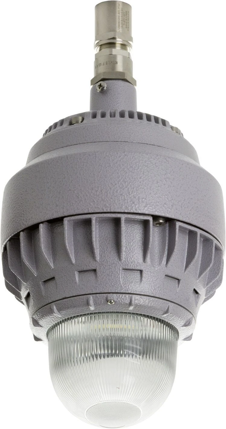 مصباح GLOBUS LED 25 D270 G Ex