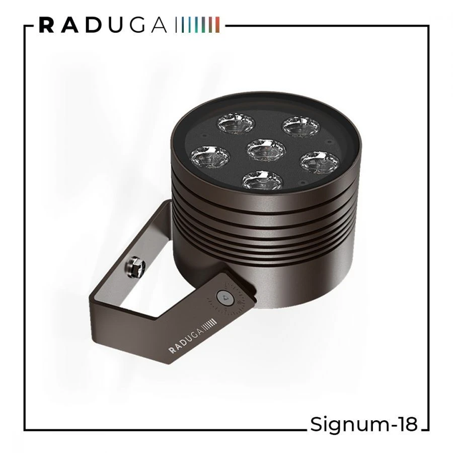 LED Floodlight with Adjustable Color Temperature RAD-S-ClS-18