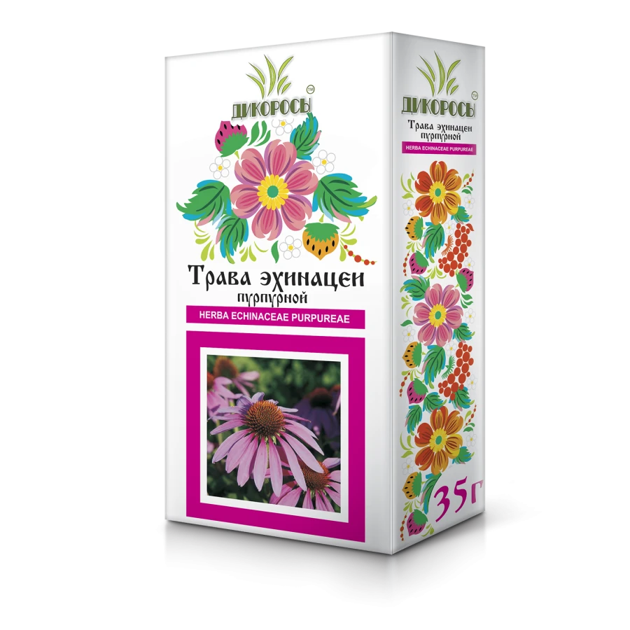 Echinacea Purpurea Herb - Immune Support and Anti-inflammatory