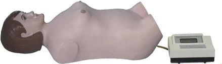 Abdominal Palpation and Auscultation Manikin, FB