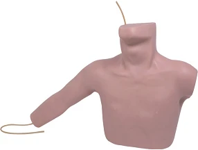 نموذج تدريب على القسطرة الوريدية المركزية CS6040/L67A