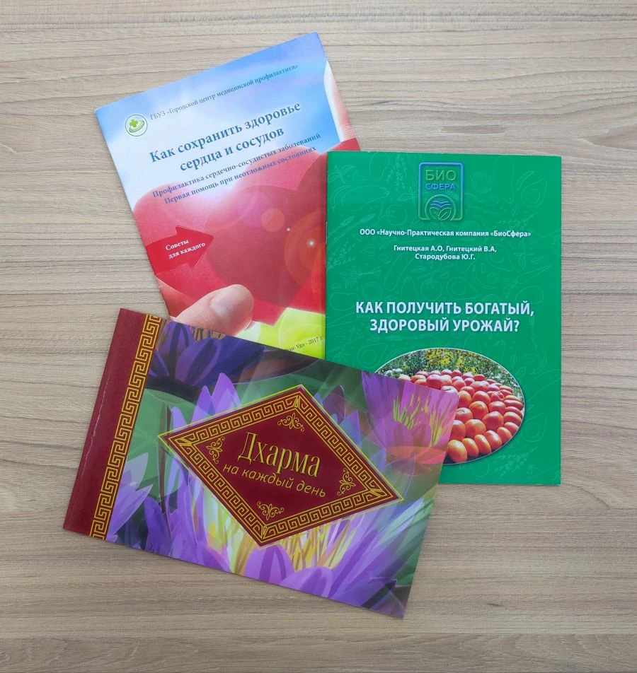Printed Brochure - Compact Marketing Material
