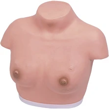 نموذج صدر النساء للفحص السريري GP6620 / 14A
