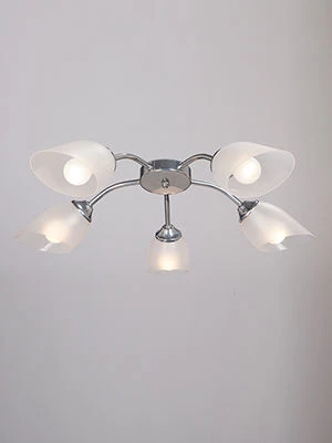 مصباح إضاءة عام ثابت V3750-9/5PL