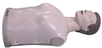 دمية تدريب متقدمة لإنعاش القلب (جذع) CPR1950 / CPR195